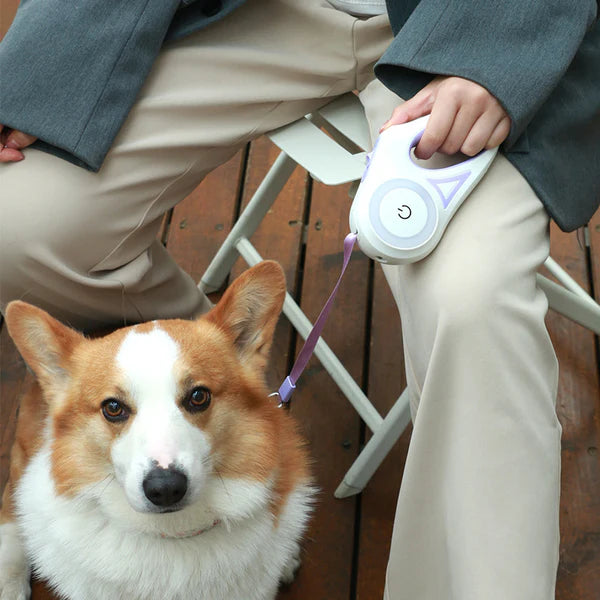 Automatic Retractable Dog Leash LED